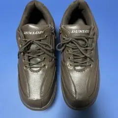 Item thumbnail for item 435a6b88-0200-46a0-ad68-2128c69c8d6c