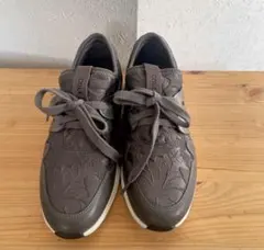 新品未使用　コールハーン　レディース　スニーカー　グレー　22cm