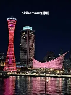 akikoman様専用