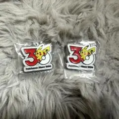 ポケモン 30周年メタルチャームマスコット ピカチュウ