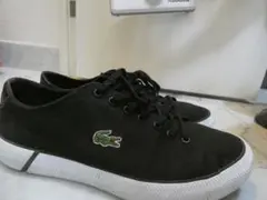 Item thumbnail for item 5481ac2e-1200-43aa-853b-4521d54989c4