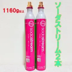 2026年最新】ソーダストリーム ガスシリンダ ピンクの人気アイテム