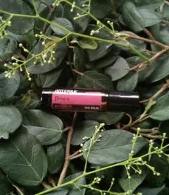 【❗️破格 新品 未開 透明シール付】ドテラ ローズタッチ 10ml 期26.6のサムネイル