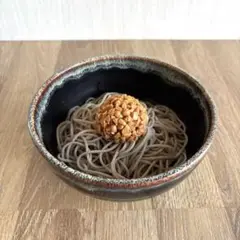 食品サンプル まるで本物 実物大 そば ぶっかけそば 蕎麦 納豆