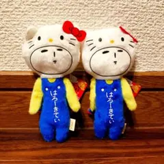 さちゅ様 専用