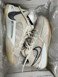 Nike サブリナ1 22cm