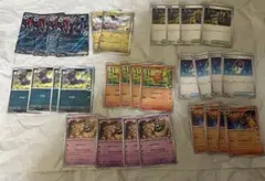 Nのゾロアークex デッキパーツセット