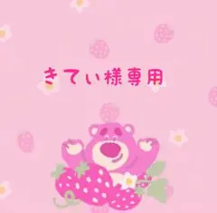 きてぃ様専用です