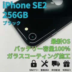 iPhone SE2 （第2世代）256GB バッテリー100％