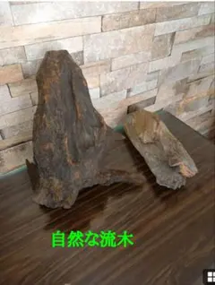 Item thumbnail for item ac0e625c-d719-4fbf-8fe5-3a984dd9cbe9