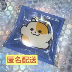 epex ベクスン ソウルコン MD グリップトック ペンコン アミン 青春時節