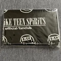 Item thumbnail for item 8b926640-9d90-4f31-b627-dc843681136c