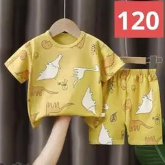 キッズ恐竜パジャマ上下セット(120サイズ）トップスボトムスこども子供男の子93
