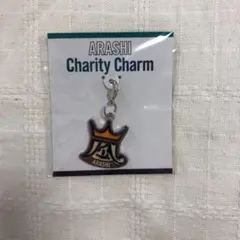 嵐 チャリティー チャーム