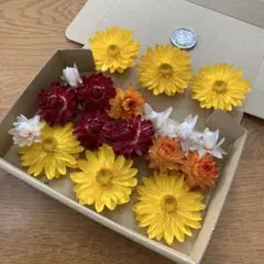 押し花 NO.344 姫うつぎ ミモザ フジバカマ他 - メルカリ