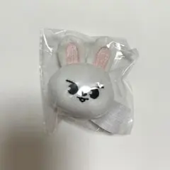 スキズ リノ skzoo リビット リービット リビ マグネット ぬいぐるみ