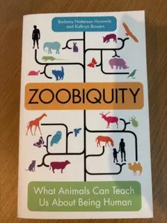 WE BOUGHT A ZOO JÓNSI RARE POSTER ヨンシー - メルカリ