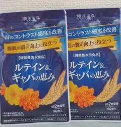 新品未開封品 和漢の森 ルテイン&ギャバの恵み 60粒入×2袋セット 匿名 