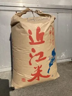 令和7年産 滋賀県産 コシヒカリ 玄米30㎏ 送料込み - メルカリ