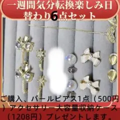 ピアス/イヤリングまとめ売り6点セット（パールピアスと大容量収納ケースプレゼント