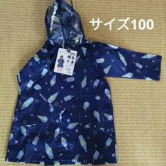 Item thumbnail for item 99b1a39b-4c7b-4ff4-8245-305cdf385581