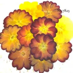 まろばー様 リクエスト 4点 まとめ商品