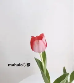 mahalo♡様専用品