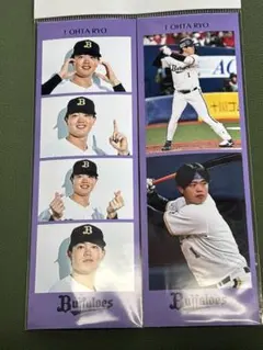 オリックスBuffaloes2026プレイヤーズステッカーセット 太田椋選手⬜︎