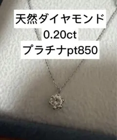 Pt ネックレス VA アガット エテ アーカー ココシュニック好も