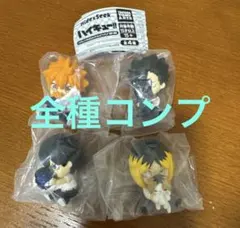 コンプ　ハイキュー Hide＆Seek かくれんぼ フィギュア 烏野 音駒 d