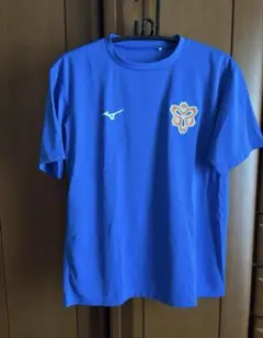 【超希少！極美品】日本体育大学 NSSU LIONS ユニフォーム XL ブルー 超希少！極美品】日本体育大学 NSSU LIONS ユニフォーム XL