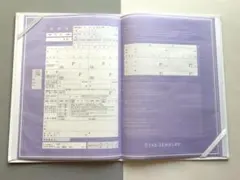 STAR JEWELRY 婚姻届　A4サイズのサムネイル