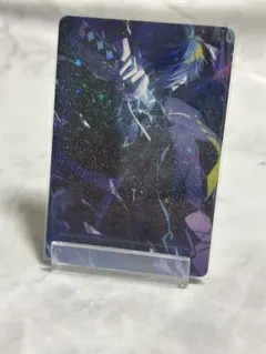 Crazy Raccoon CR コレクションカード レア VanilLaのサムネイル