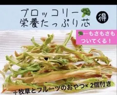 ✨☘️更紗☘️✨今年もよろしく〜❤様 リクエスト 4点 まとめ商品