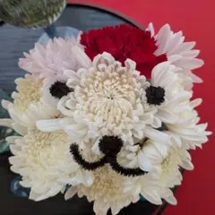 まゆみ様 リクエスト 5点 まとめ商品