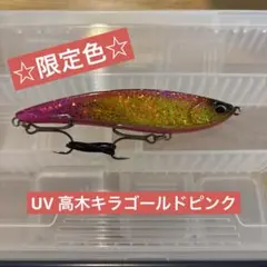 Beach Walker Limber 95s お値下げしました❕のサムネイル