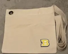 【最安値】 BUDDiiS サコッシュ