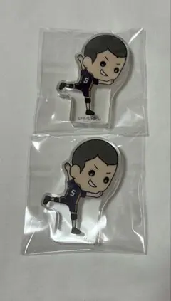 ハイキュー たすっこ 田中龍之介