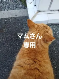 マムさん専用