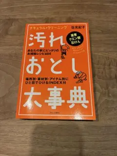 汚れおとし大事典 佐光紀子