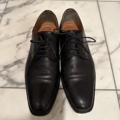 Item thumbnail for item 0d8cadb9-3495-488c-8f9c-935535b811ef