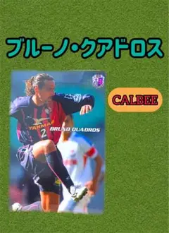 Ｊリーグチップス　ブルーノクアドロス　セレッソ大阪　カルビー　QUADROS
