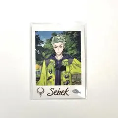 ツイステ展 ランダムフォトカード　セベク