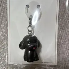 쓰리 코인스 개 매력 장난감 푸들 블랙 메지루시 스리코