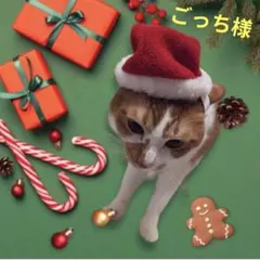 2025年最新】アルビオンエクシアリプラントクリームの人気アイテム