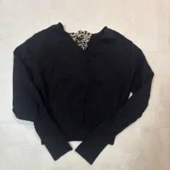 Item thumbnail for item c732639f-8b82-4b0b-a01e-ee6552542787