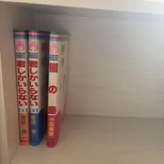 吉住渉 少女漫画