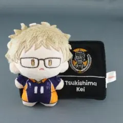 ハイキュー!! POPMART ぬいぐるみ付きフェルトバッジ 月島蛍 USED品