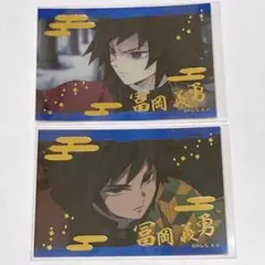 鬼滅の刃 キラステコレクション 第3弾 箔押し 冨岡義勇 2枚