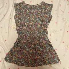 Item thumbnail for item e32ca0a6-9b84-41fd-8c53-02193d6a7570